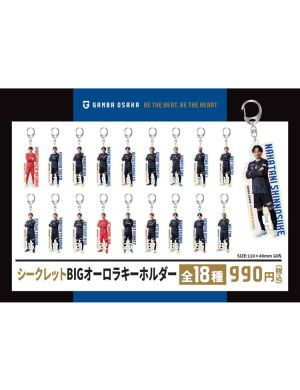 シークレットBIGオーロラキーホルダー