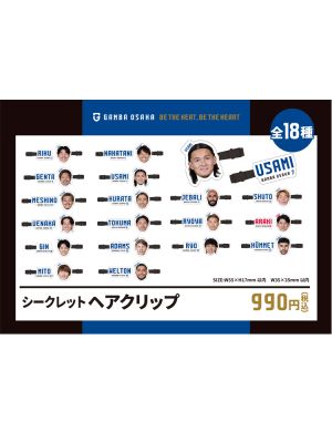シークレットヘアクリップ